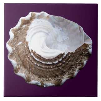 Carreau Shell simple couvrent de tuiles