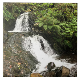 Carreau Sheppherd's Dell Falls