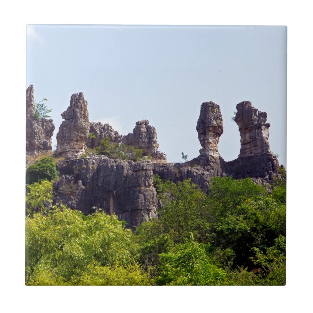 Carreau Shilin pinnacles Forêt de pierre - Yunnan, Chine,  (Devant)