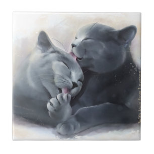 Carreau Shorthair britannique