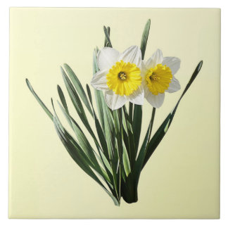 Carreau Shy Little Daffodil