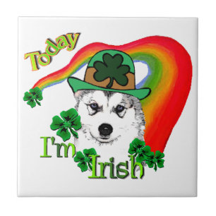 Carreau Sibérie Husky St Patrick