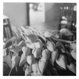 Carreau Siem Reap Cambodge, Fleurs de Lotus