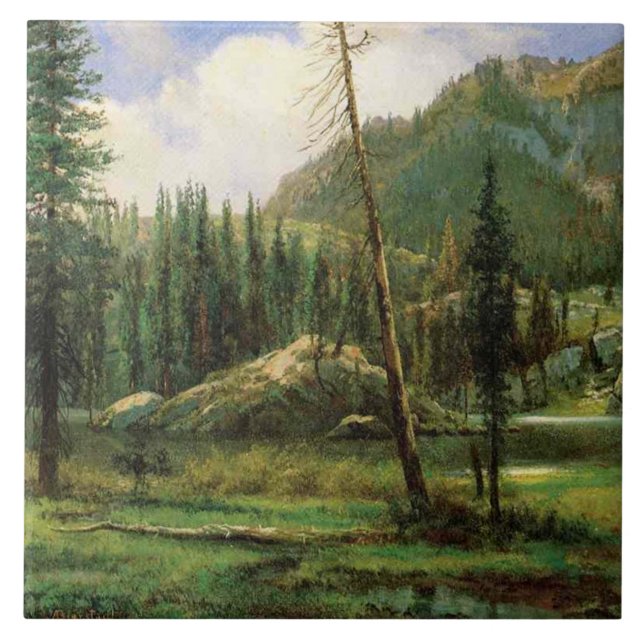 Carreau Sierra Nevada Mountains (Bois Américain) (Devant)