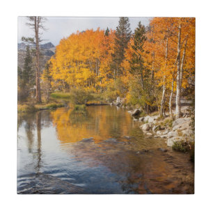 Carreau Sierra orientale, Bishop Creek, sortie de Californ