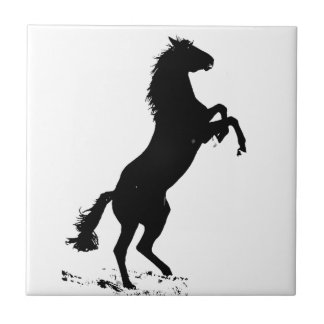 Carreau Silhouette du cheval d'élevage
