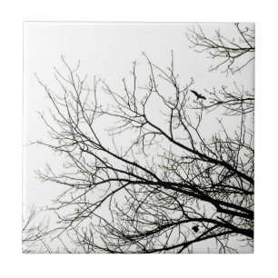 Carreau Silhouettes d'arbre - tuile