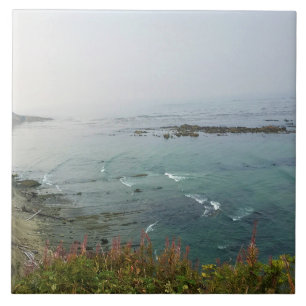 Carreau Simpson Reef Overlook