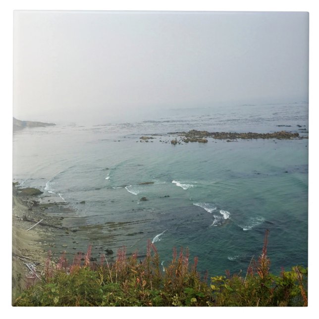 Carreau Simpson Reef Overlook (Devant)