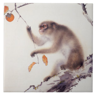 Carreau Singe dans un arbre persimmon