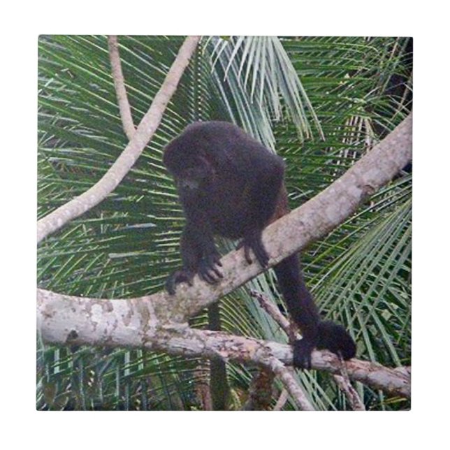Carreau Singe d'hurleur et singe de bébé en jungle du (Devant)