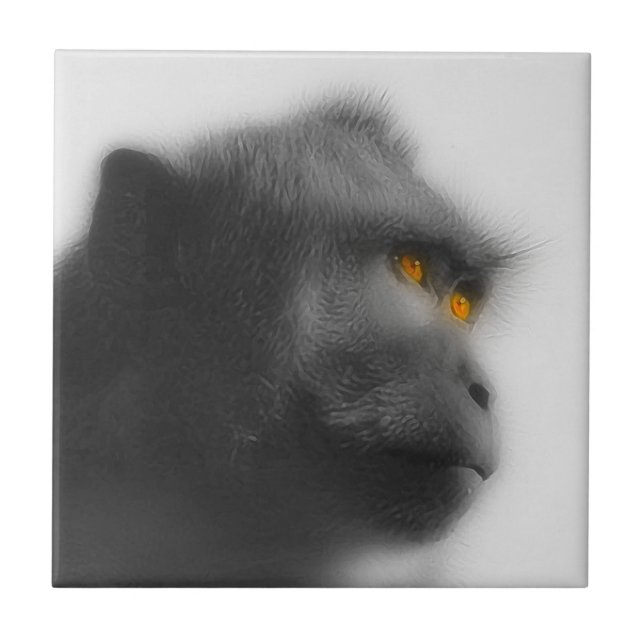 Carreau Singe songeur (Devant)
