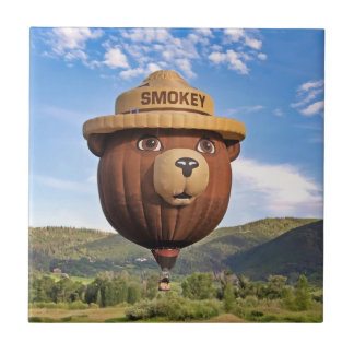 Carreau Smokey Bear in Colorado