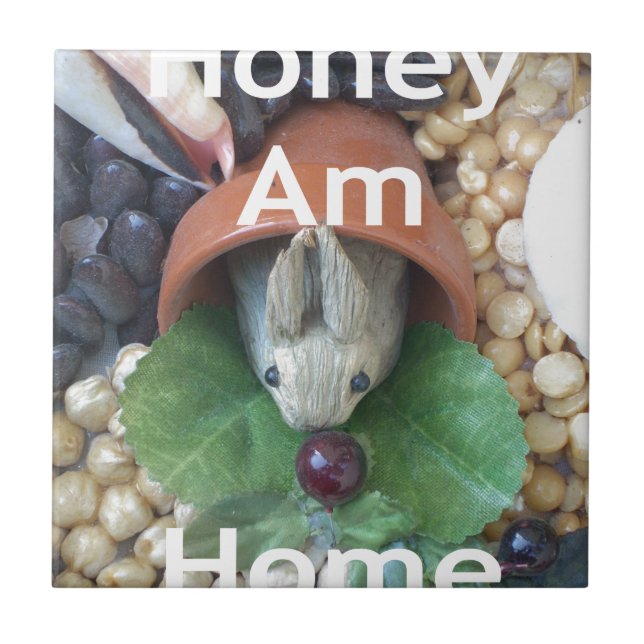 Carreau Snacking de lapin mignon (Devant)