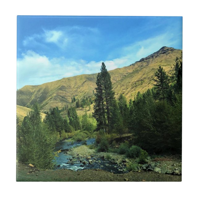 Carreau Snake River, comté de Wallowa, Oregon (Devant)