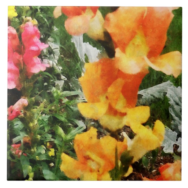 Carreau Snapdragons colorés (Devant)