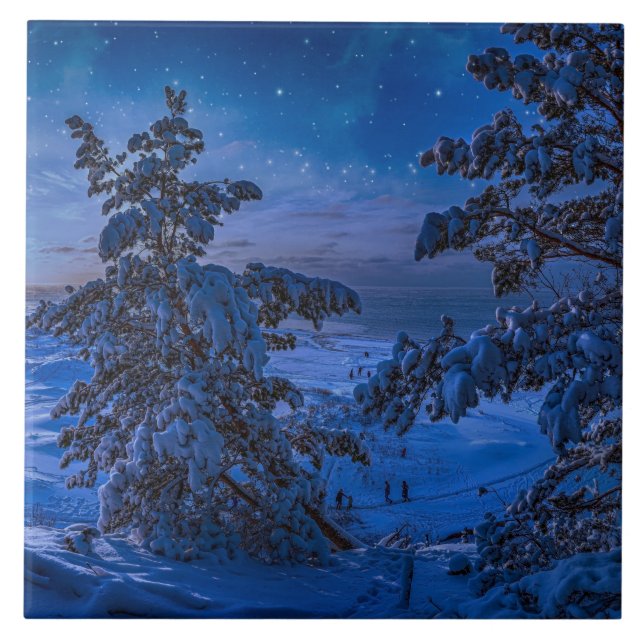 Carreau Snowy Baltic sea coast with fir tree in night (Devant)