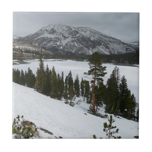 Carreau Snowy Ellery Lake California Paysage hivernal (Devant)