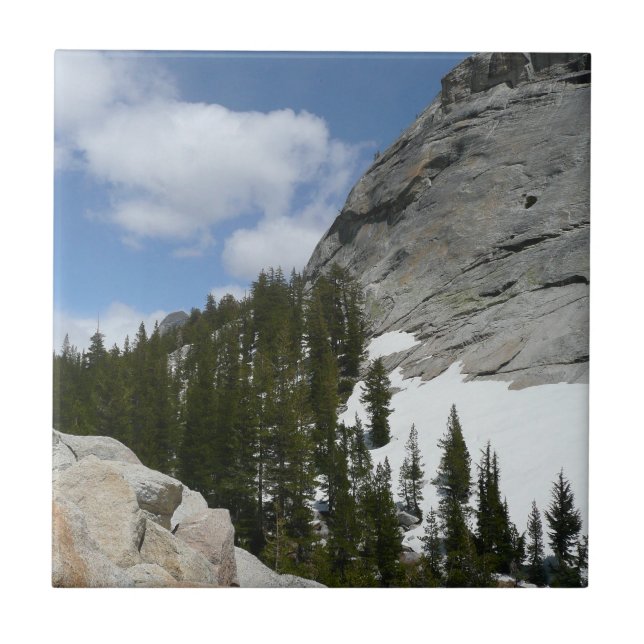 Carreau Snowy Granite Domes II Parc national de Yosemite (Devant)