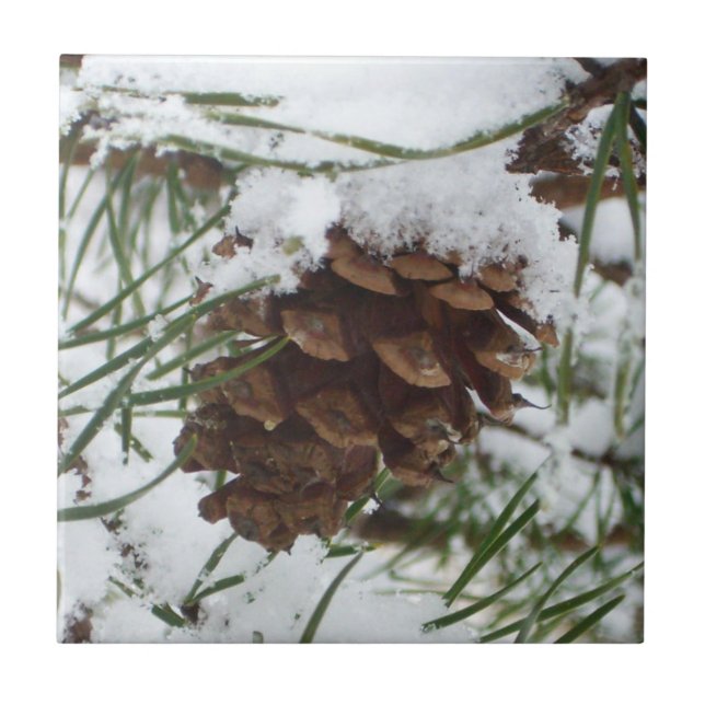 Carreau Snowy Pine Cone I (Devant)