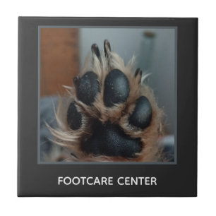 Carreau Soins des pattes