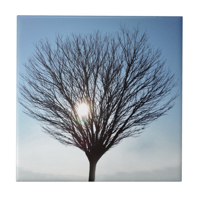 Carreau soleil d'hiver (Devant)