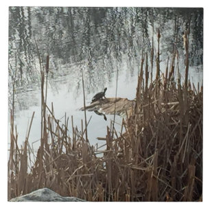 Carreau Solstice d'hiver