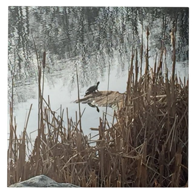 Carreau Solstice d'hiver (Devant)