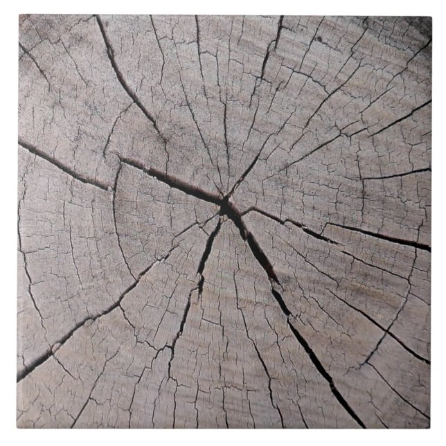 Carreau souche d'arbre fond rustique naturel  (Devant)
