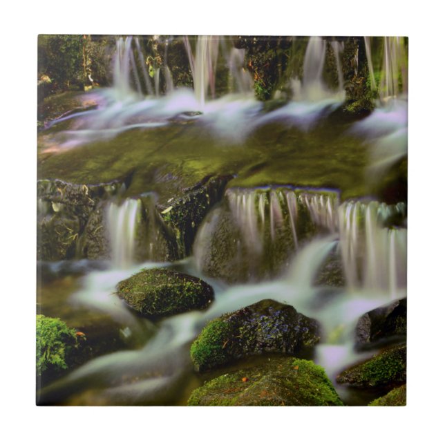 Carreau Source aux fougères, Parc national de Yosemite, Ca (Devant)