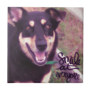 Carreau Souriez à tout le monde chien