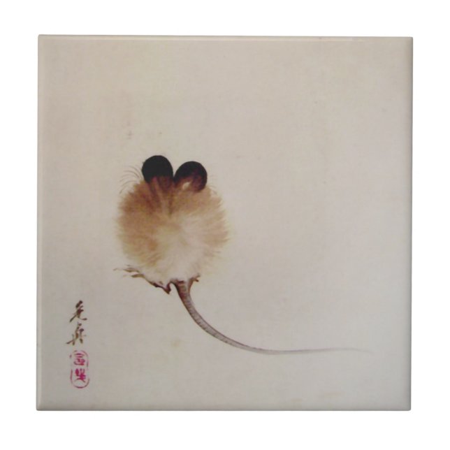 Carreau Souris de peinture de zen (Devant)