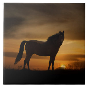 Carreau Southwestern Horse et Sun Art Tile