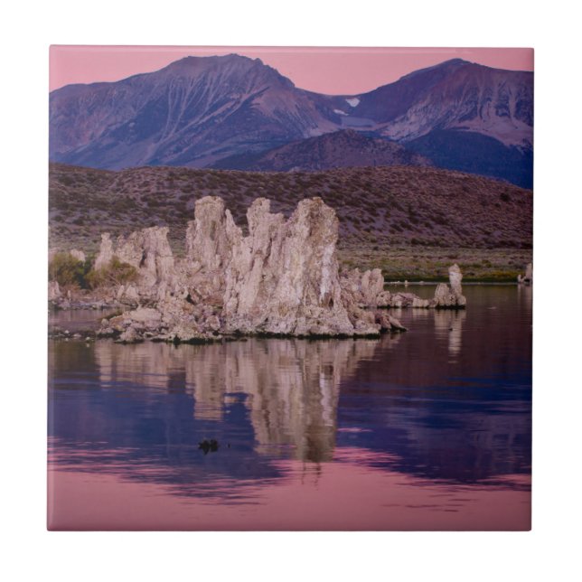 Carreau Spectaculaire Mono Lake dans l'ombre (Devant)
