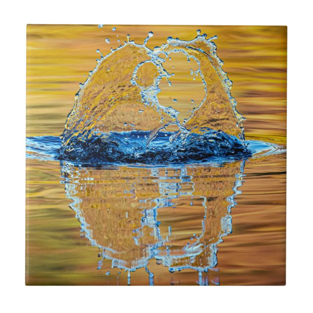 Carreau Splash le soir d'automne (Devant)