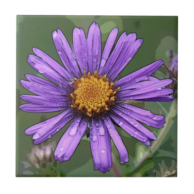 Carreau Splendeur (Devant)