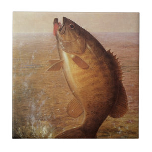 Carreau Sports vintages Pêche, Poisson Brown à grande bouc