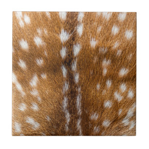 Carreau Spotted deer pour texture