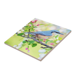 Carreau Spring Bird - Belle