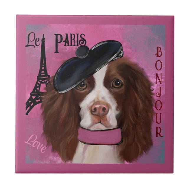 Carreau Springer Spaniel anglais (Devant)
