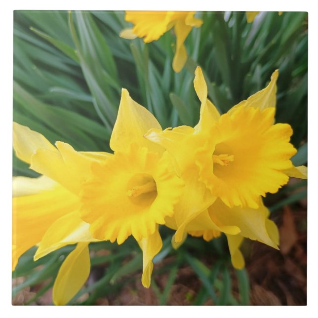 Carreau Springtime Flowers (Devant)