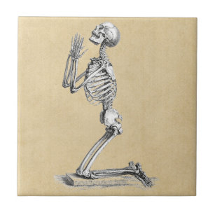 Carreau Squelette anatomique vintage