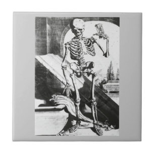 Carreau Squelette d'Anatomia Humani Corporis