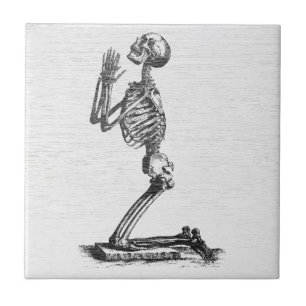 Carreau Squelette priant - Art anatomique vintage