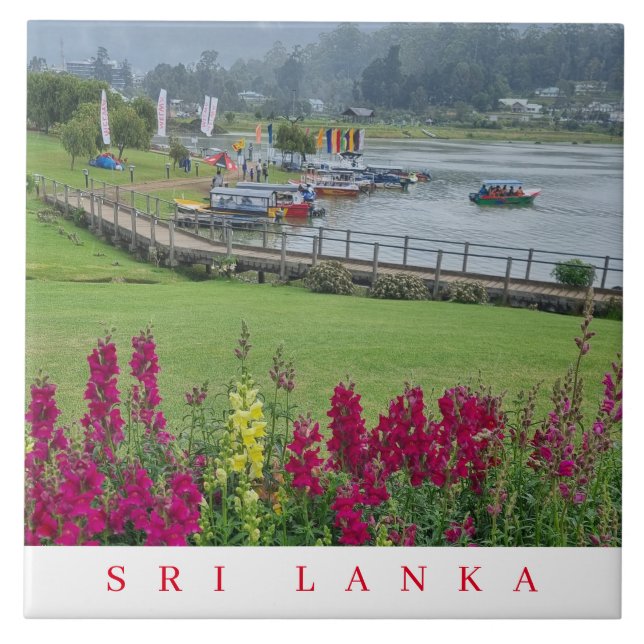 Carreau Sri Lanka Lake Gregory vue céramique (Devant)