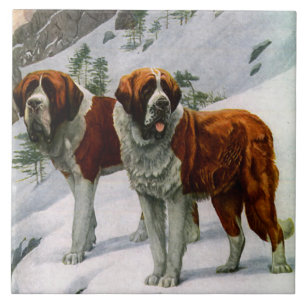Carreau St Bernards de cru