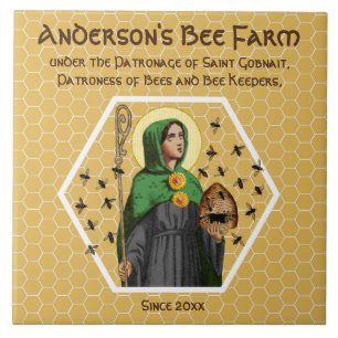 Carreau St. Gobnait de Ballyvourney (SAE 003) Carrelage en