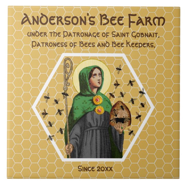 Carreau St. Gobnait de Ballyvourney (SAE 003) Carrelage en (Devant)