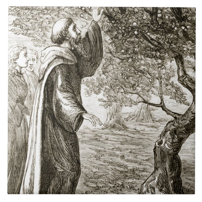 Carreau St Le Columba change le fruit amer en bonbon, de (Devant)