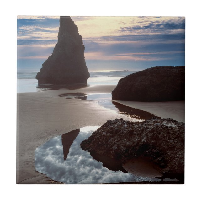 Carreau Stack marin en forme d'épine | Face Rock Wayside,  (Devant)